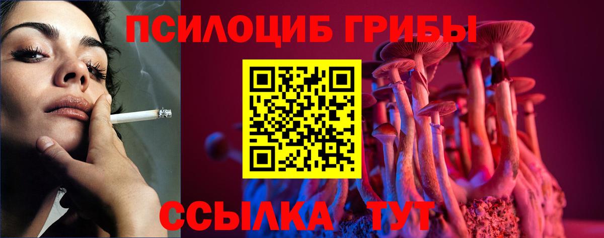 Псилоцибиновые грибы Psilocybine cubensis Нефтекамск